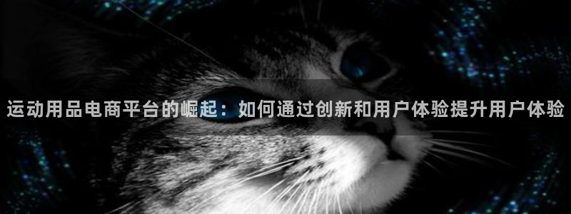 zoty中欧体育官网下载招商电话号码查询:运动用品电商平台的
