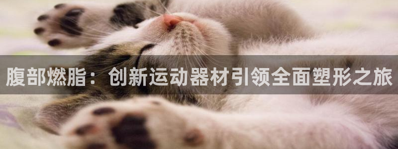 zoty中欧体育官网下载招商电话地址是多少:腹部燃脂:创新运